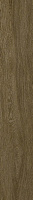 ColiseumGres Ducale 610010003504