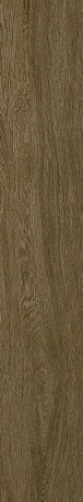 ColiseumGres Ducale 610010003504