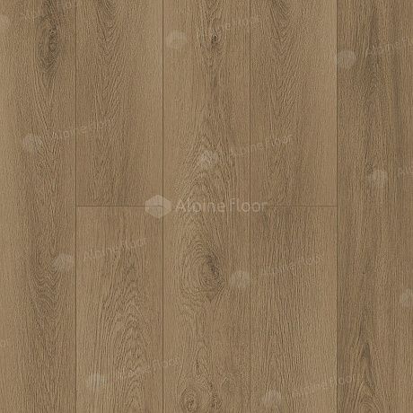 Alpine Floor Grand Sequoia LVT ECO 11-1902