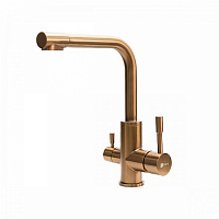 LEMARK Expert LM5061RGN