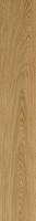 ColiseumGres Ducale 610010003503