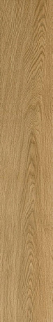 ColiseumGres Ducale 610010003503