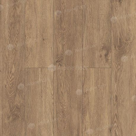 Alpine Floor Grand Sequoia LVT ECO 11-702