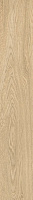 ColiseumGres Ducale 610010003502